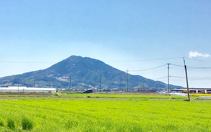 農業部門いとの宝石